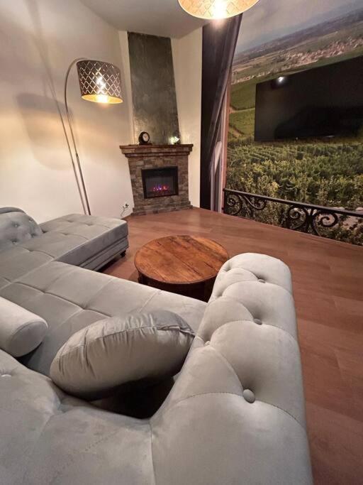 Apartamento Esprit Alsace: 70M2 De Charme Mulhouse Exterior foto