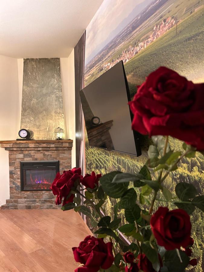 Apartamento Esprit Alsace: 70M2 De Charme Mulhouse Exterior foto